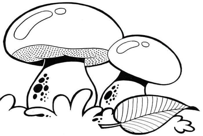 Розмальовка гриби. Дитяча розмальовка