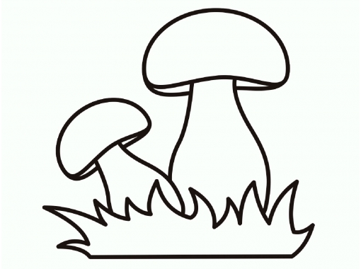 Розмальовка з грибами