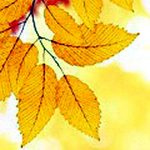Вірші про осінь для дітей