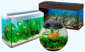 Згадки про акваріум