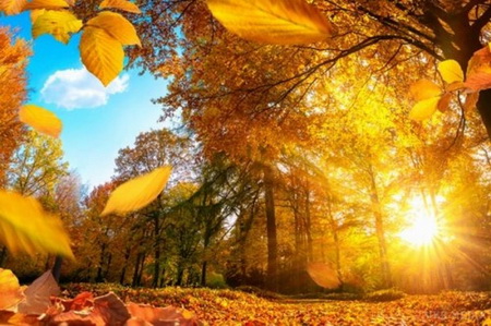 Вірші Максима Рильського про осінь