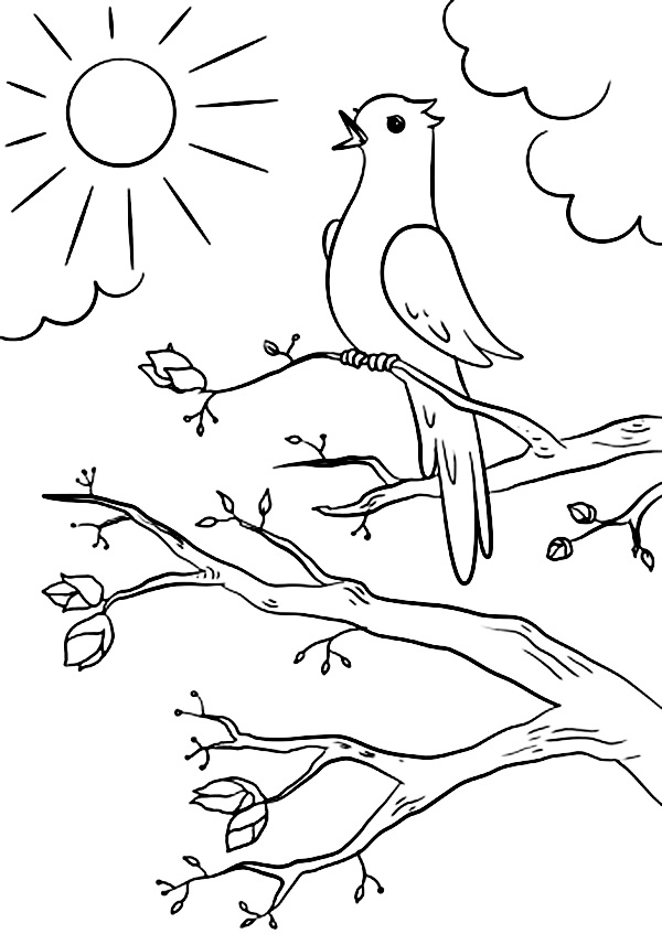 Розмальовка птахи, весна