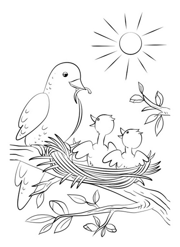 Детальніше про статтю Птахи весною. Розмальовки до Дня птахів (1 квітня)