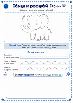 2. slon