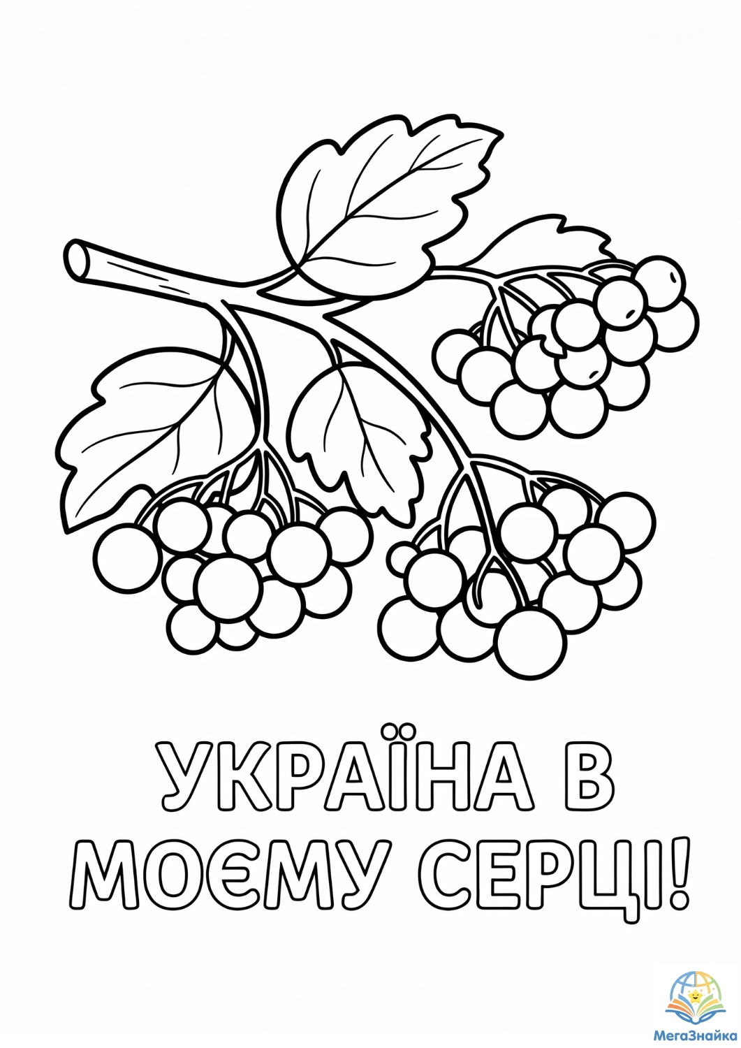 Патріотичні розмальовки: серія розвивальних малюнків про Україну для дітей - калина